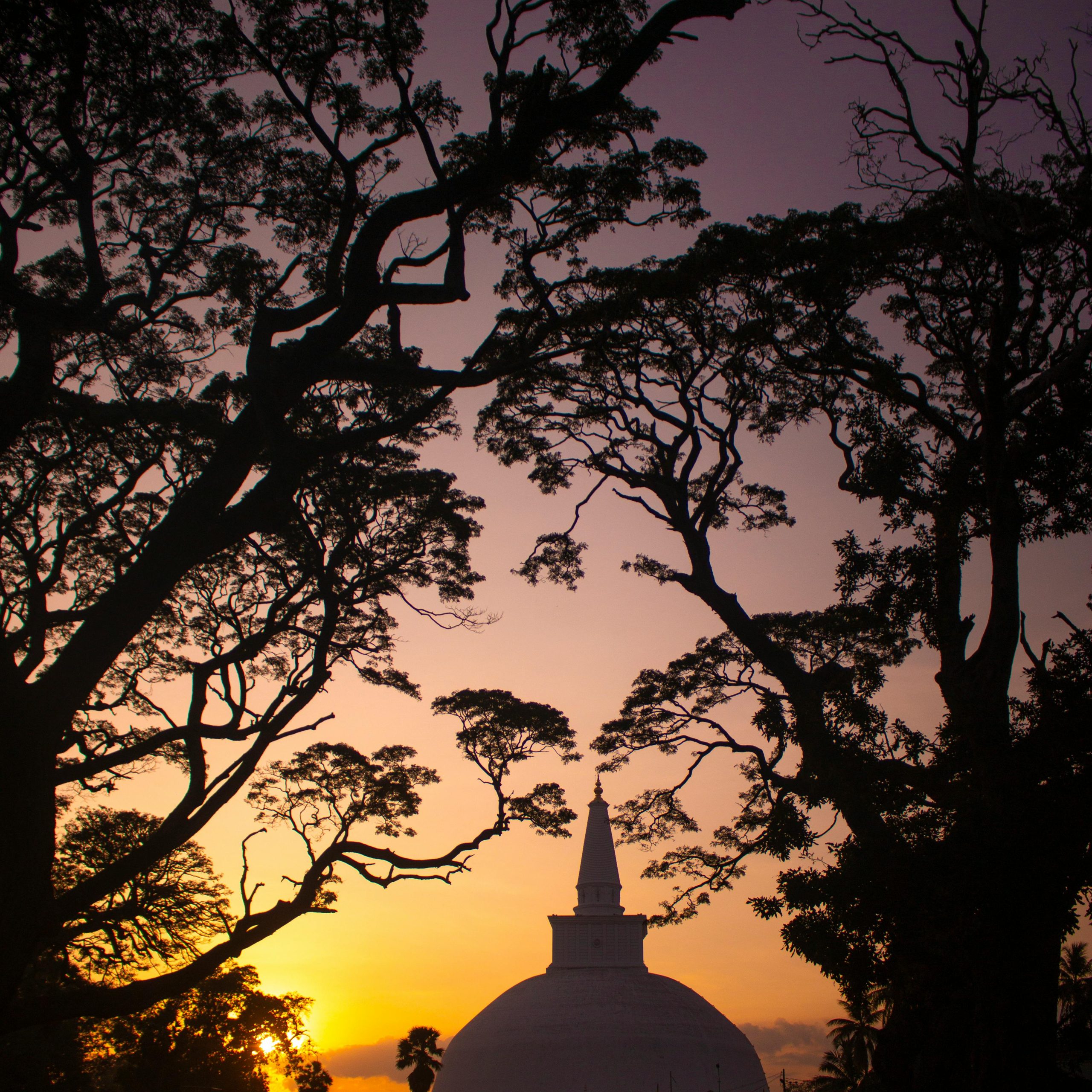 Anuradhapura