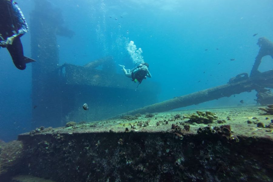 The Legendary Shipwreck of Thermopylae Sierra at Mount Lavinia